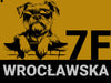 zlote tlo