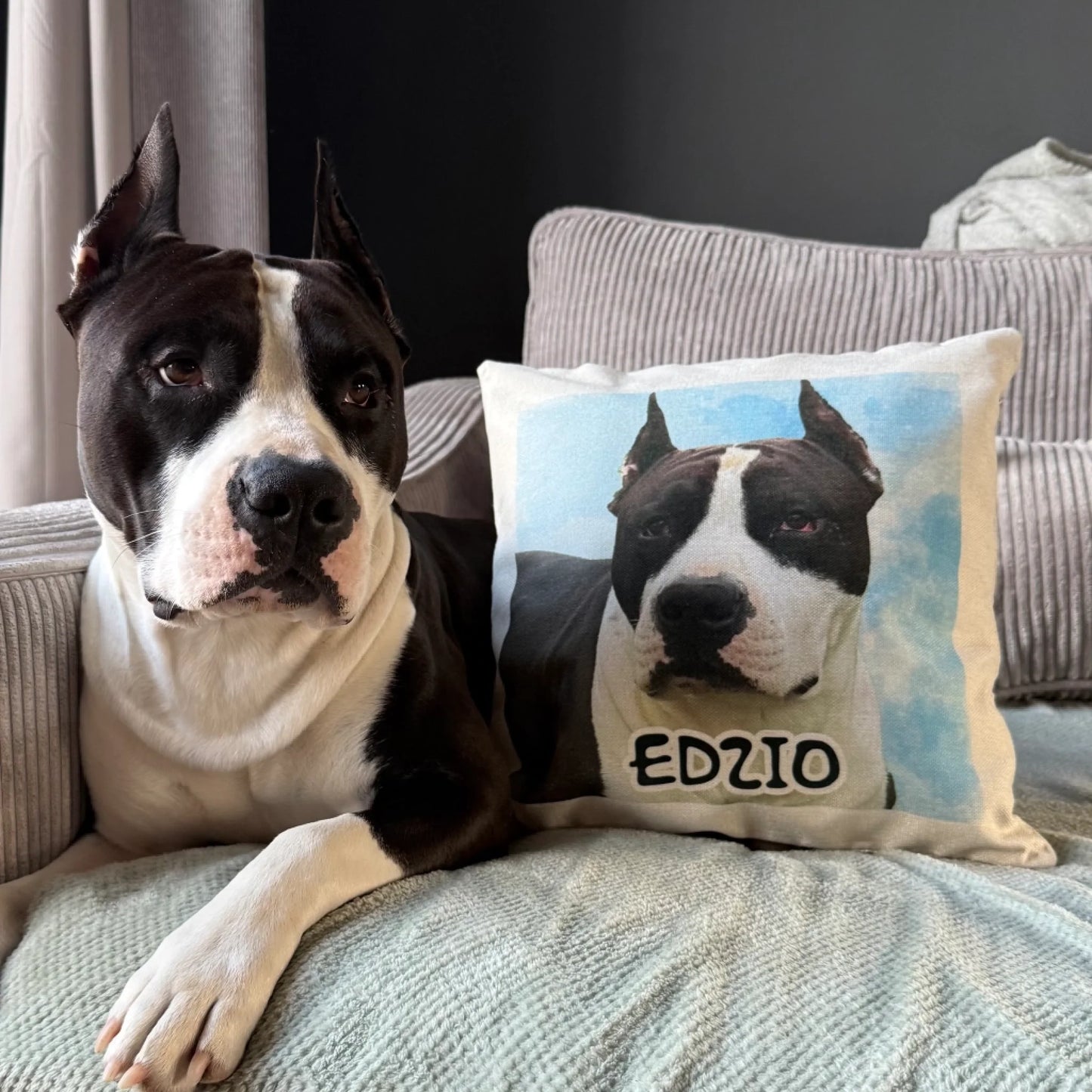 poduszka ze zdjęciem